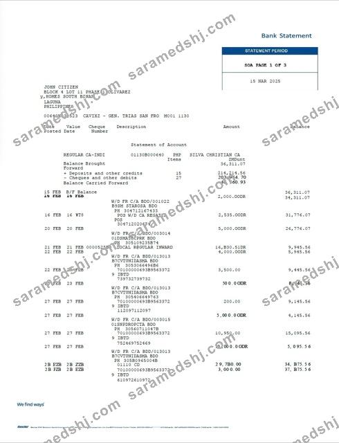 Philippines Bancnet bank statement Word and PDF template